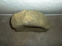 DSCN3387.webp