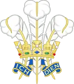 339px-Prince_of_Wales's_feathers_Badge.svg.webp