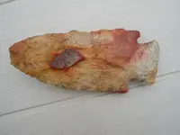 DSCN3344.webp