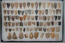 Points (17).webp