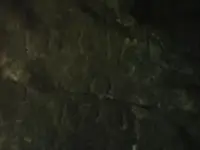 CaveCarvings.webp