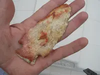 DSCN3345.webp