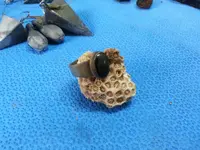 20130625_194003.webp