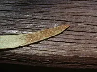 DSCF6494.webp