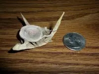 DSCN3389.webp
