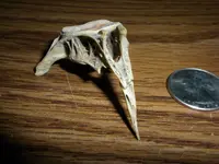 DSCN3391.webp