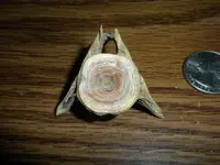 DSCN3393.webp