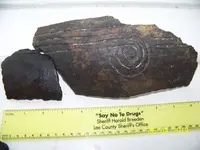 Pottery Shards.webp