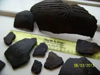 Pottery Shards (2).webp