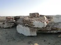 DSC00710.webp
