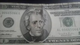 IMAG0719.webp