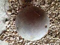 Cannonball 1.webp