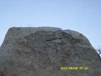 SDC16852.webp