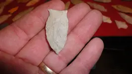 y6DSC00483.webp
