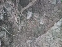 in the hole_1.webp