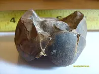Egg 5.webp