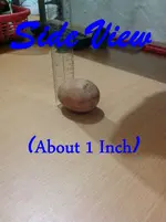 egg-shaped-stone.webp
