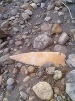 River Find 5 half inch Dovetail.webp