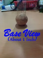 egg-shaped-stone-3.webp