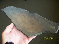 Pottery.webp