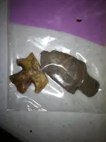 ImageUploadedByTapatalk1373478654.209715.webp