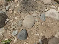 DSCN0514.webp