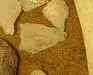 ForumRunner_20130626_093120-4.webp