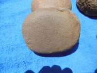 DSCN0520.webp