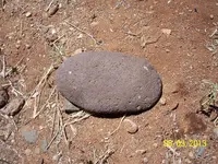 100_2331.webp