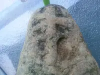 20130625_193118.webp