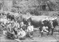 Howard-ButlerOxCrewSkidroad-18920712-LHa.webp