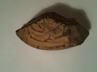 20120806_214845.webp 20120806_214845.webp