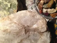 image-2709087027.webp
