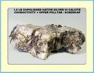 1.6 LB SILVER UP SPECIMEN (BG).webp
