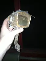 image-3890153870.webp