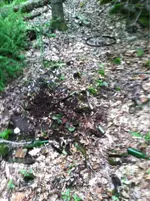 image-4219703648.webp