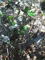 image-3177311121.webp