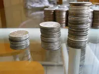 DSCN6335.webp