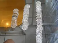 DSCN6337.webp