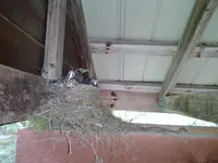 2013-06-25 18.42.52.webp