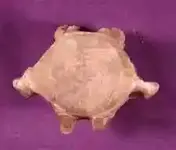 muXQRKeoE9Ua7nXjHo61ZCg.webp