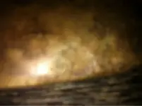 image-2017108403.webp
