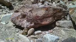 IMAG0928 (2).webp