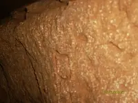 Cave Pic#9 070313.webp