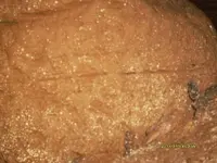 Cave Pic#10 070313.webp
