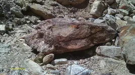 IMAG0929 (2).webp