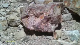IMAG0930 (2).webp
