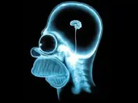 wallpaper-brain.webp