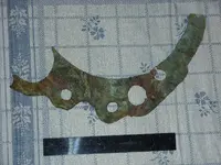 SDC17339.webp