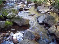 100_2374.webp